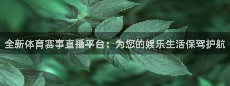 体育新闻