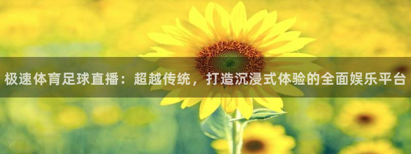 乐球直播免费体育直播在线观看