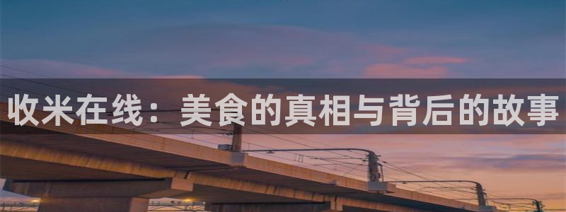 乐球直播免费看球赛