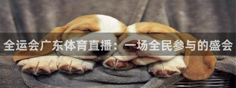 体育新闻