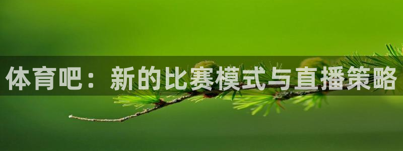 体育新闻