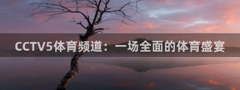 乐球直播免费观看高清