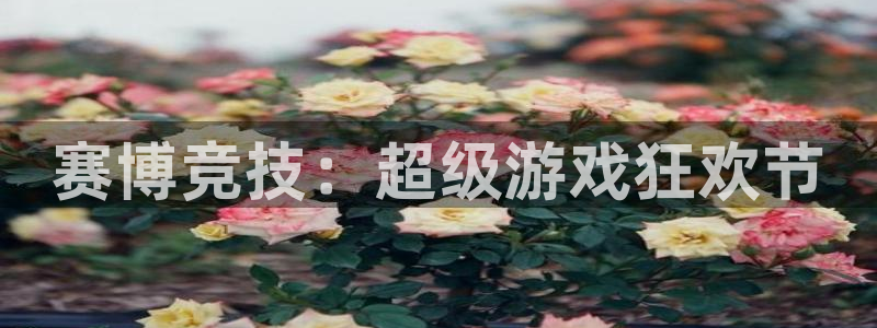 乐球直播主播