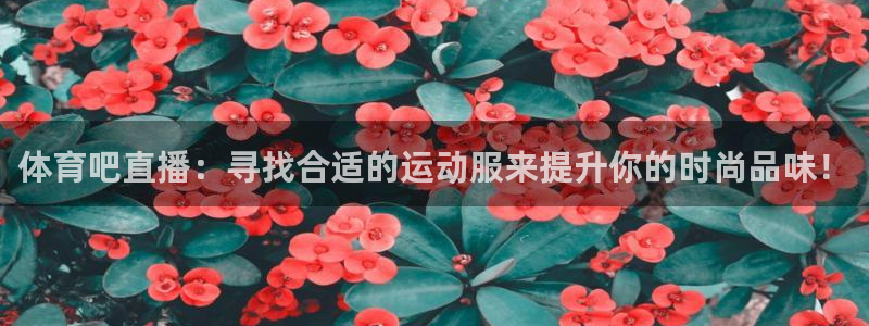 乐球直播免费体育直播主页