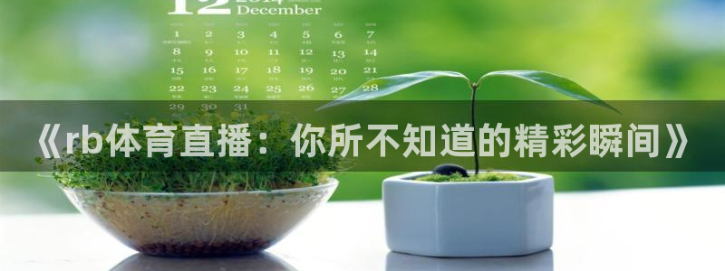 足球直播乐球直播